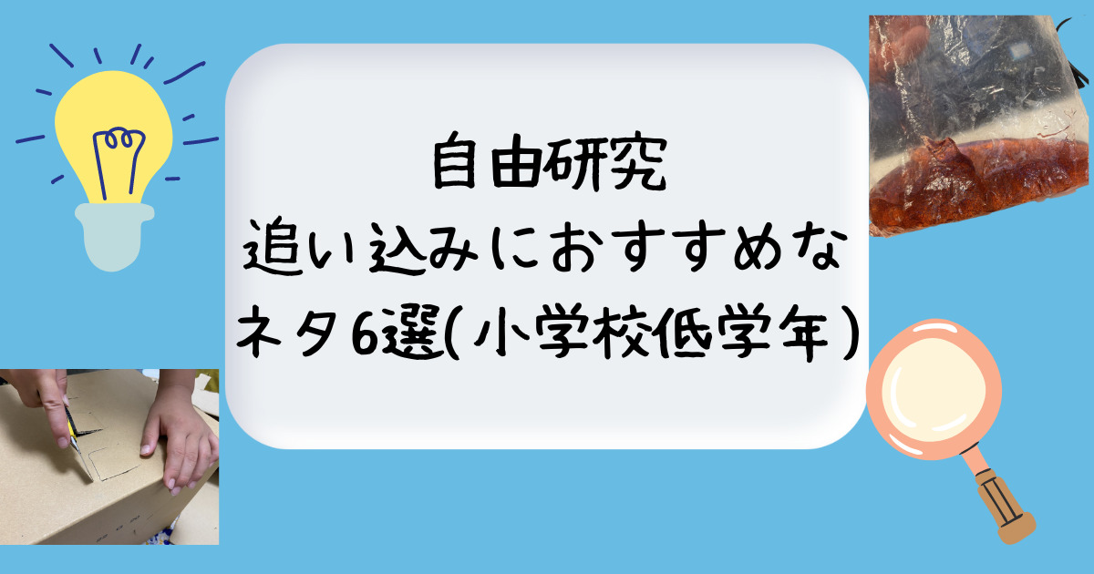 自由研究追い込みにおすすめなネタ6選 小学校低学年 ミニマリストな転勤妻