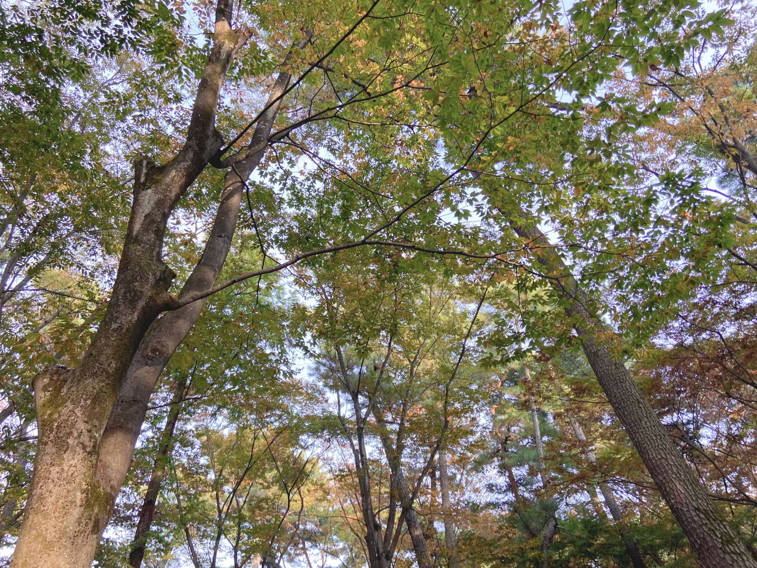 【10月の振り返り】2023年やりたいことリストの進捗